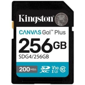 art kin sd20sdg420256gb 1