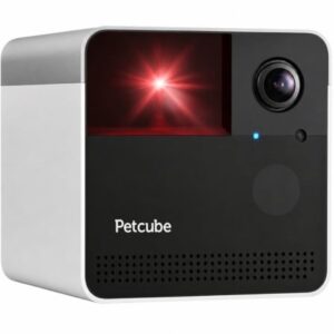 art pcub cam20play202 1